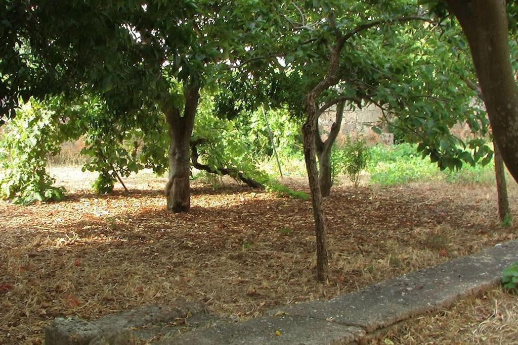 Villa Nel Salento - Ampie Camere E Giardino, Fino A 9 Persone Barbarano del Capo المظهر الخارجي الصورة