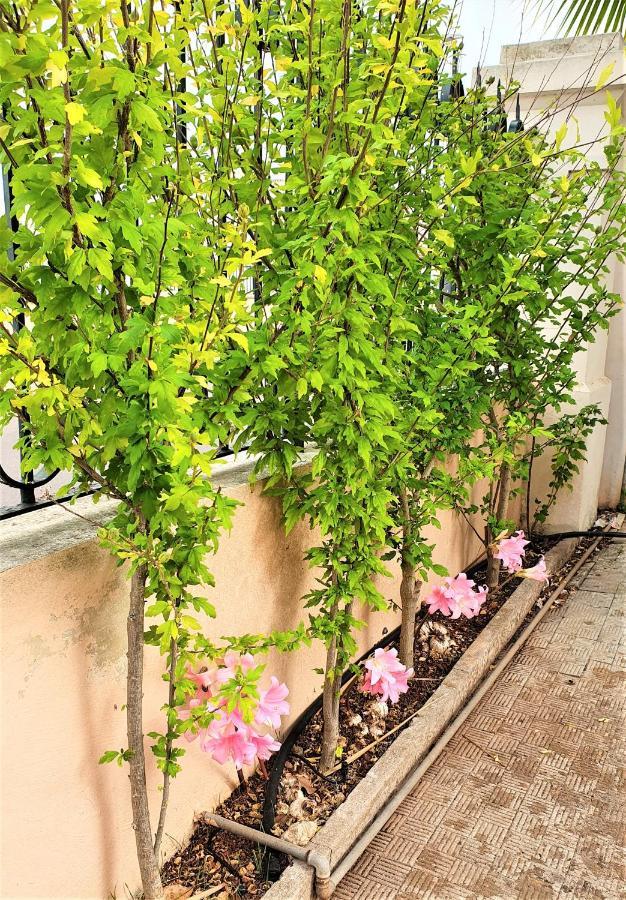Villa Nel Salento - Ampie Camere E Giardino, Fino A 9 Persone Barbarano del Capo المظهر الخارجي الصورة